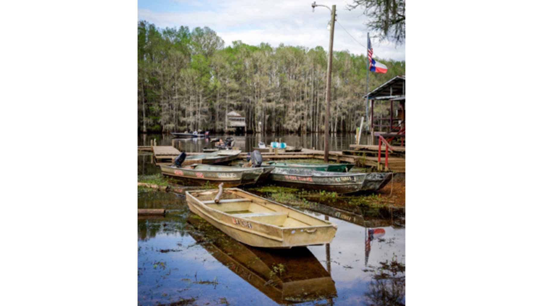 Small fishing boats docked along the cypress swamp shoreline of Caddo Lake in East Texas near Jefferson.