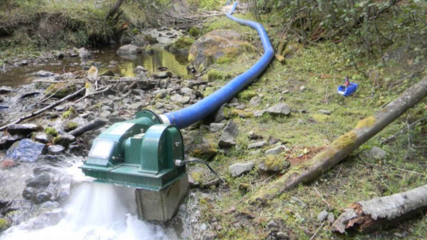 DIY micro hydropower setup in a creek with a small turbine generator and a long blue hose carrying water from upstream.