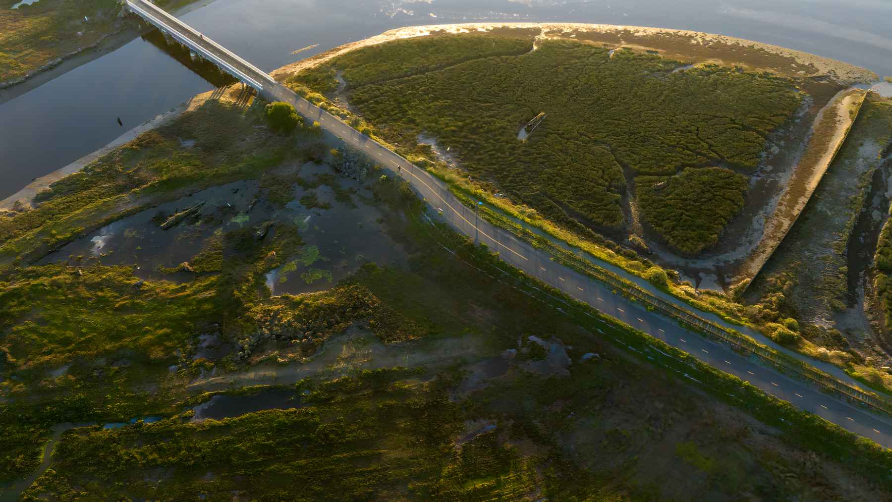 section of the Great Redwood Trail corridor with former rail line converted into a multi-use path in Northern California