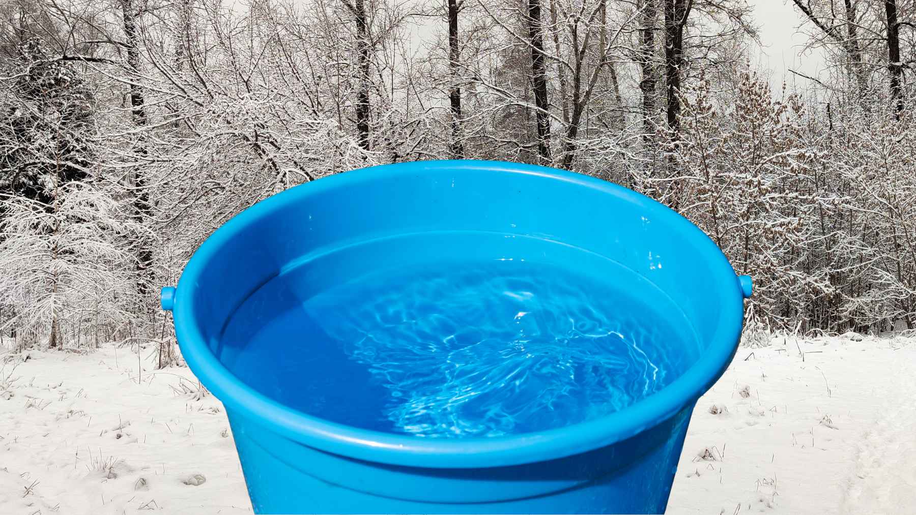 Foam block floating inside a rain barrel to prevent pressure damage when water freezes during winter.