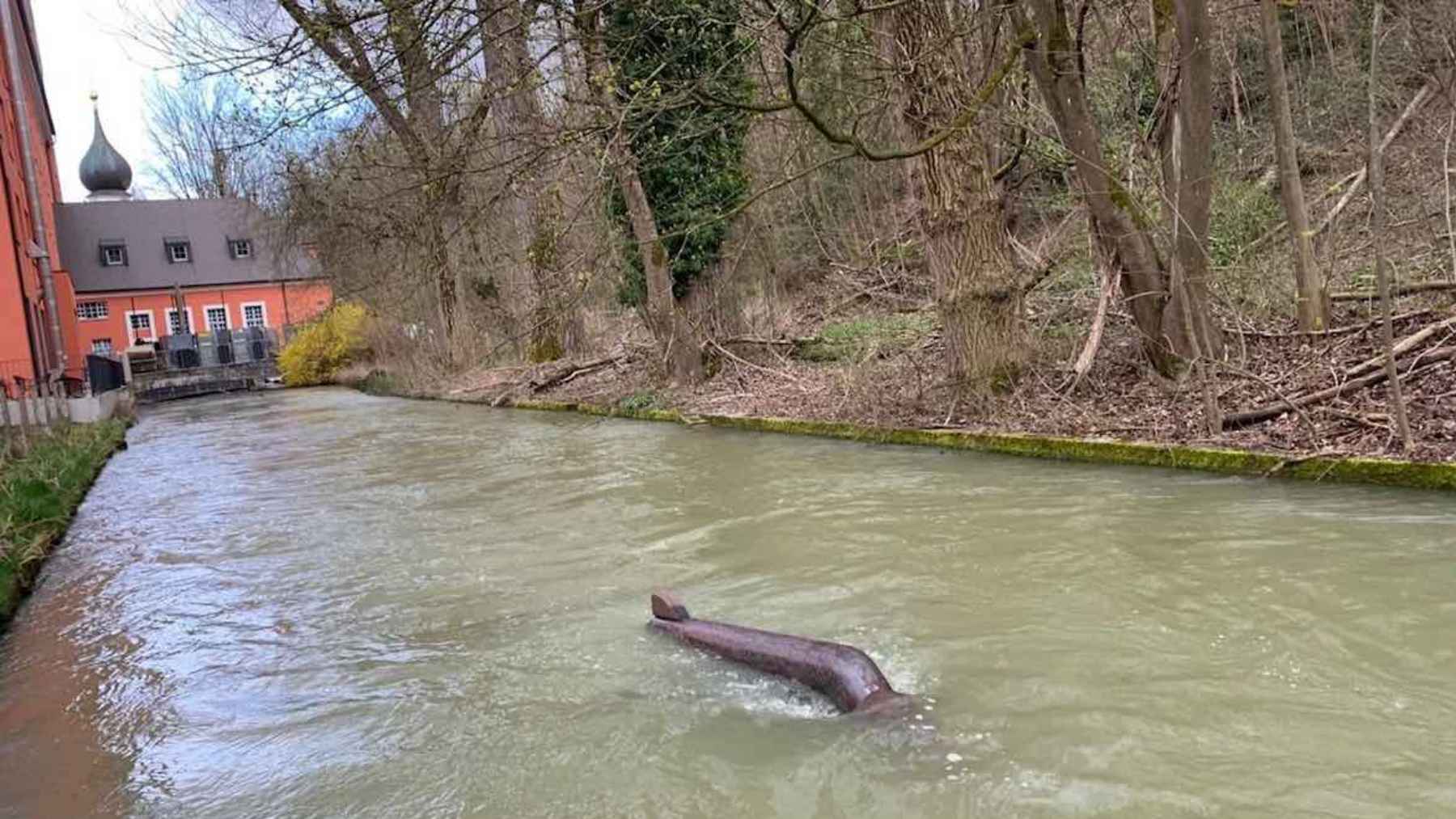 A school of 124 energy-generating fish in the Rhine promises electricity for 500 homes 1 Floating Energyfish hydropower units anchored in a river channel generating electricity from natural current flow