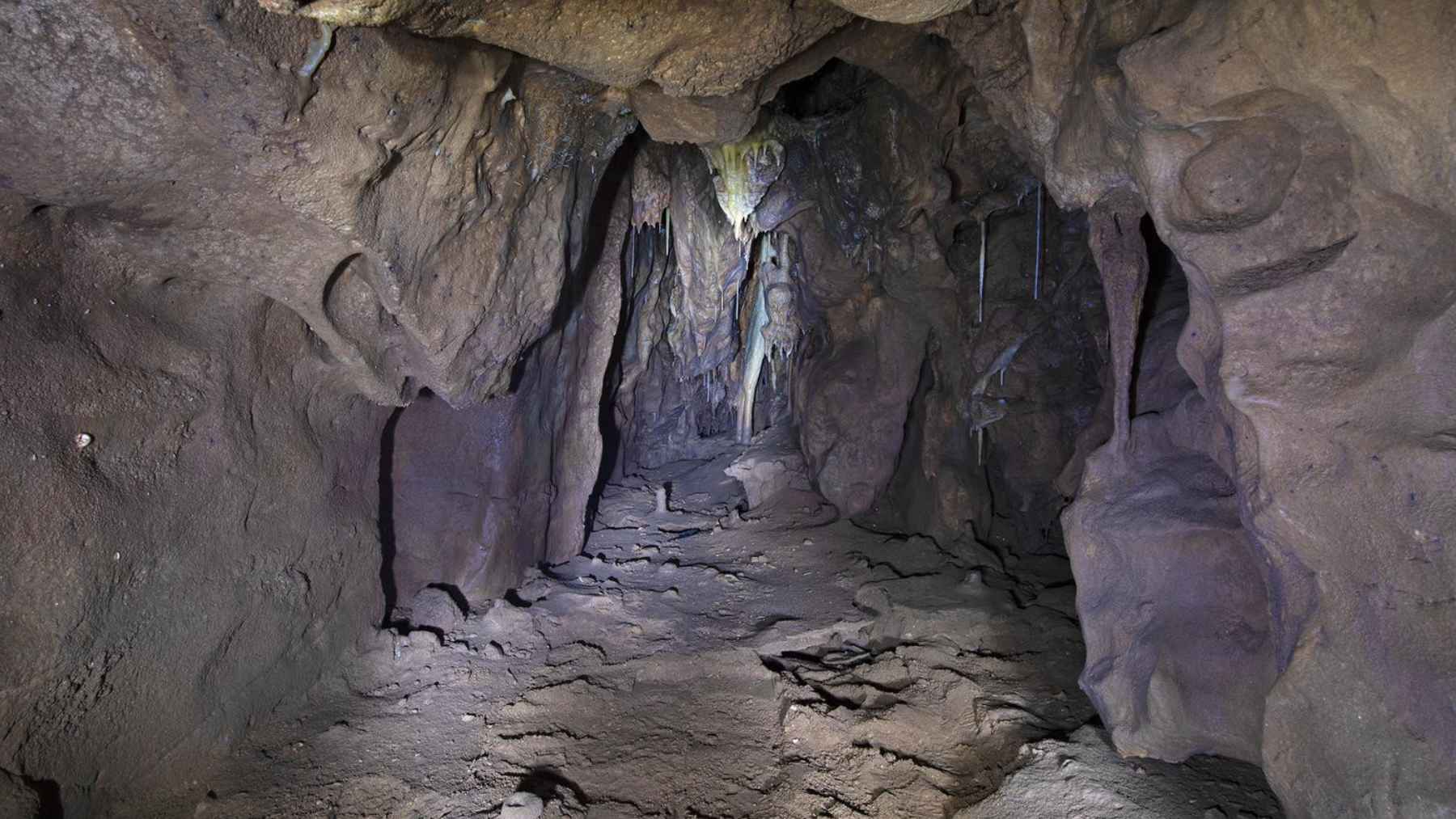 Archaeological view inside Vanguard Cave in Gibraltar where a sealed chamber linked to Neanderthals was recently opened.