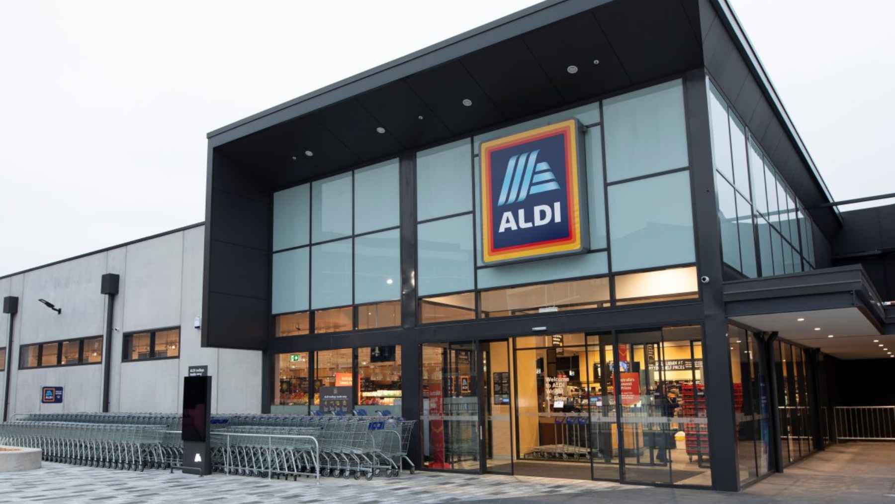 Aldi Belavi solar globe string lights displayed outdoors, showing budget-friendly backyard lighting setup