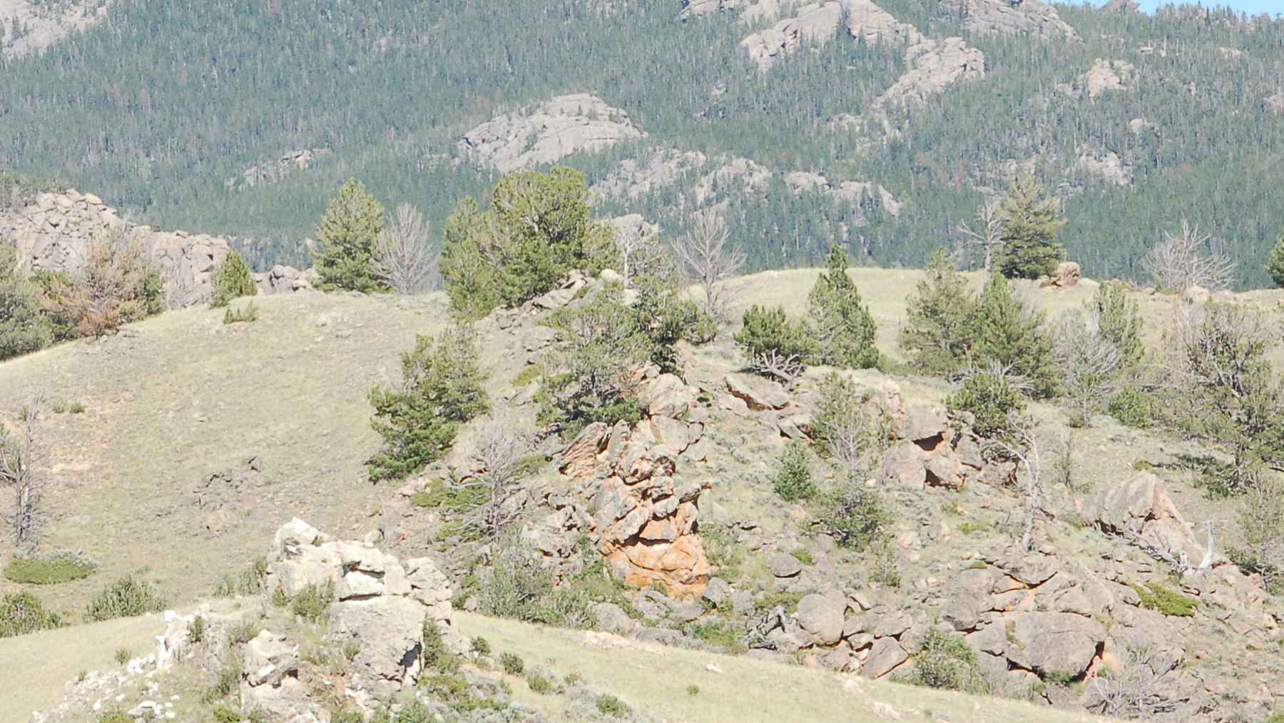A rocky, mountainous ridgeline in the Laramie Range of Wyoming, showing sparse pine trees and grassy slopes characteristic of the energy corridor.