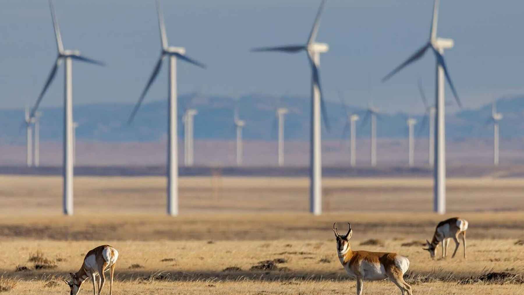 Wind turbines across the Laramie Range in Wyoming as large-scale renewable energy projects expand across rural land