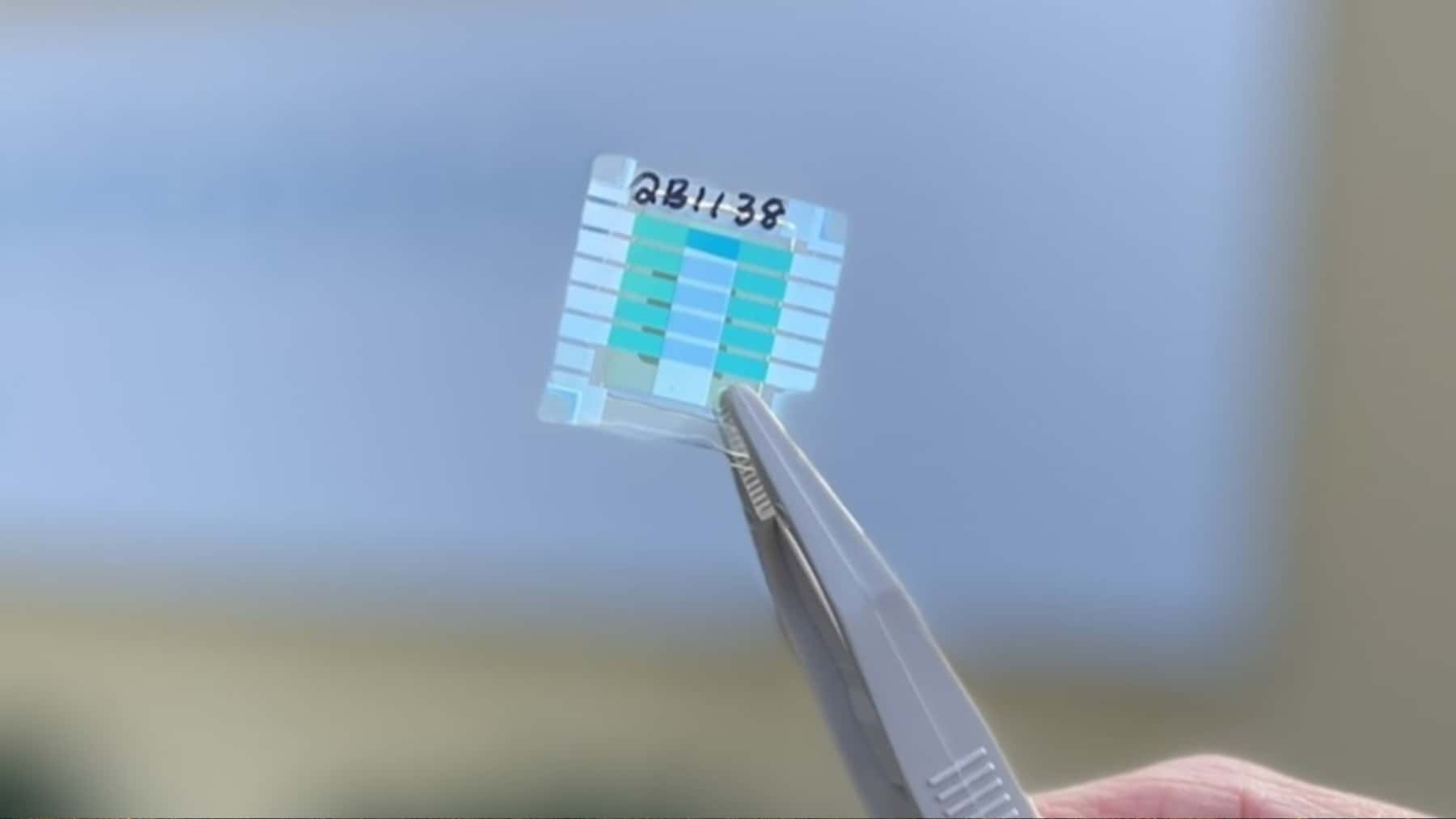 Chip neuronal sostenido con unas pinzas en un entorno de laboratorio.