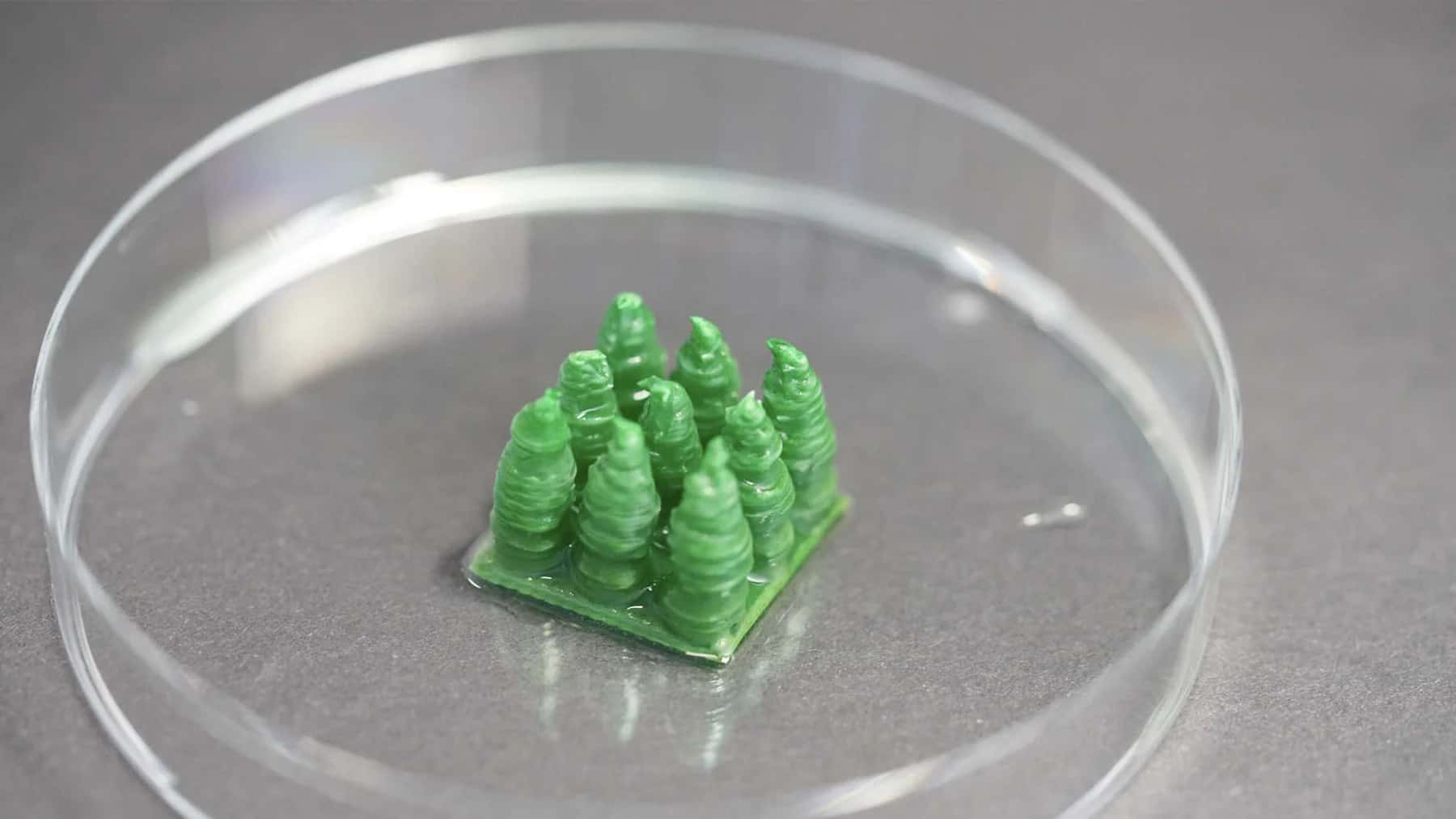 Pequeñas estructuras similares a corales hechas de cemento vivo dentro de una placa de laboratorio.