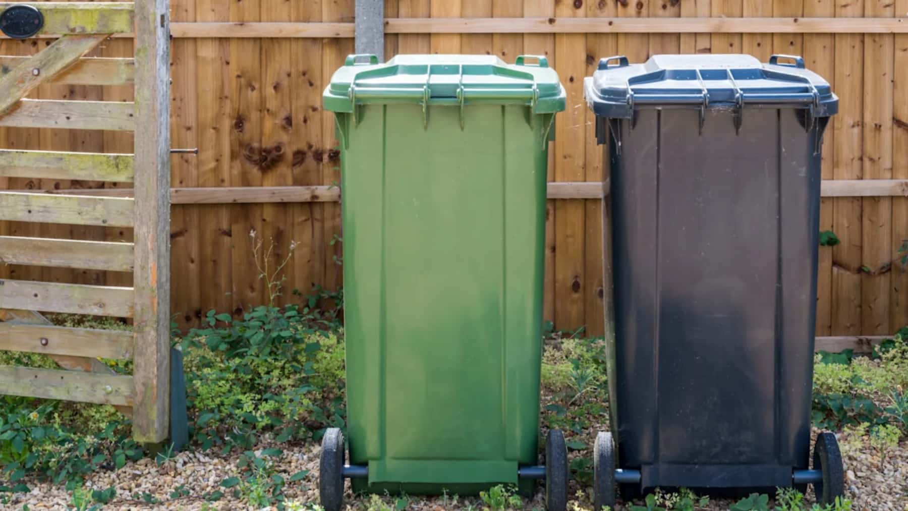 Dos cubos de basura con ruedas, uno verde y otro negro, colocados frente a una valla de madera en un jardín.