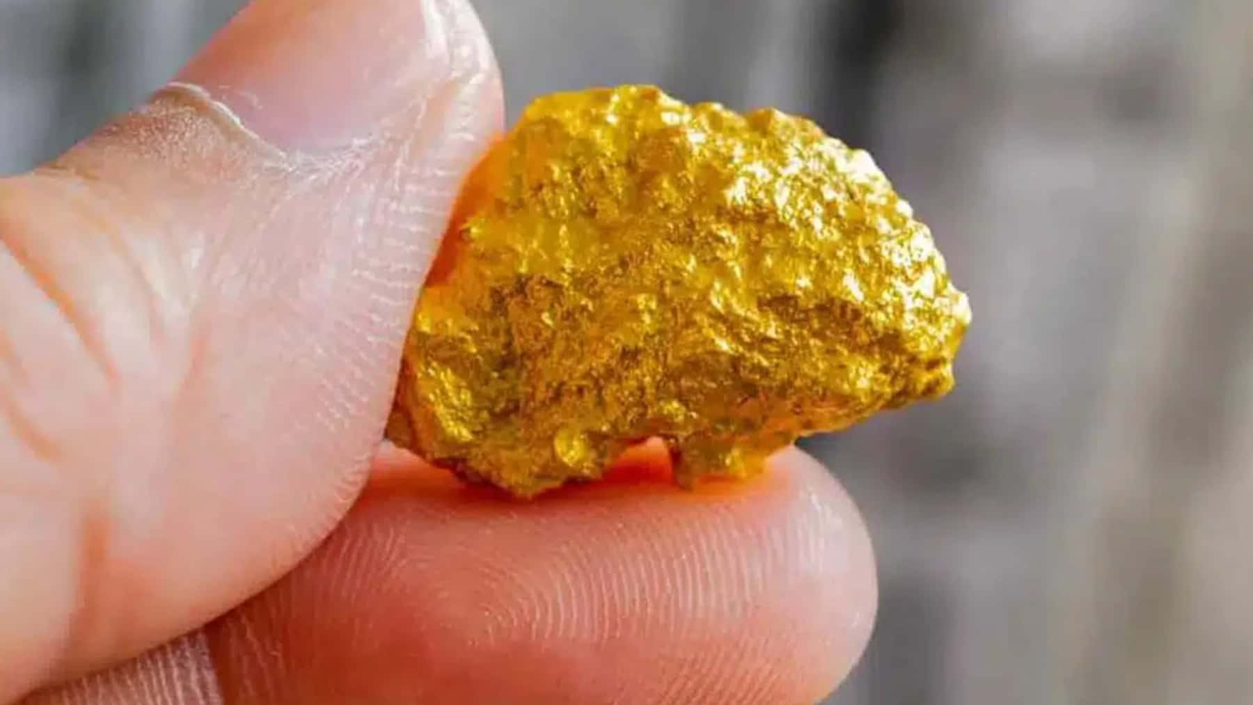 Pepita de oro en bruto sostenida entre los dedos de una mano.