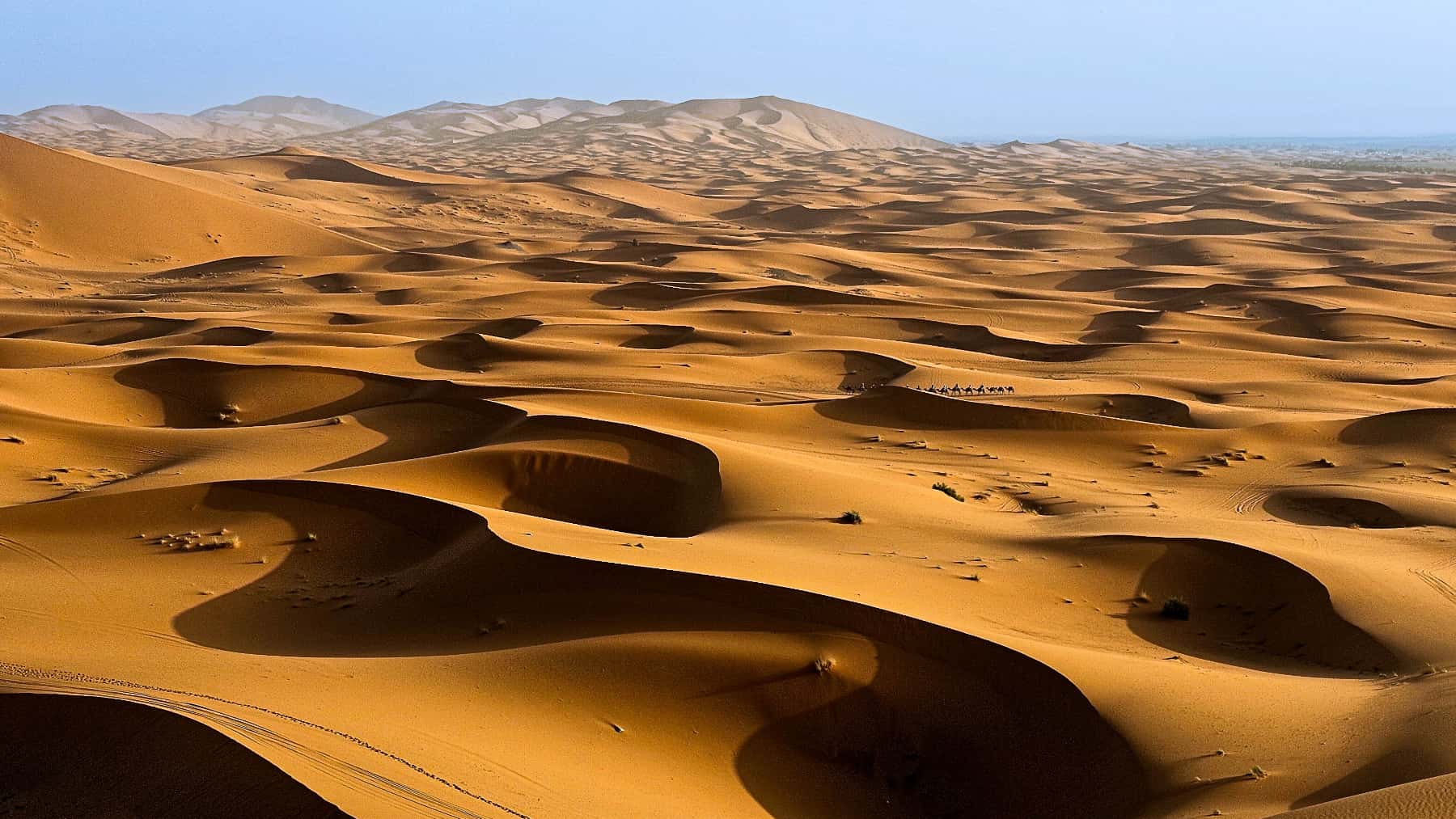 Vista panorámica de un desierto con grandes dunas de arena dorada bajo un cielo despejado