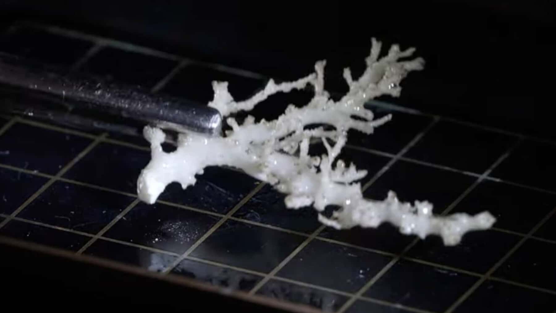 Un fragmento del 'castillo de cristal' obtenido por el sumergible