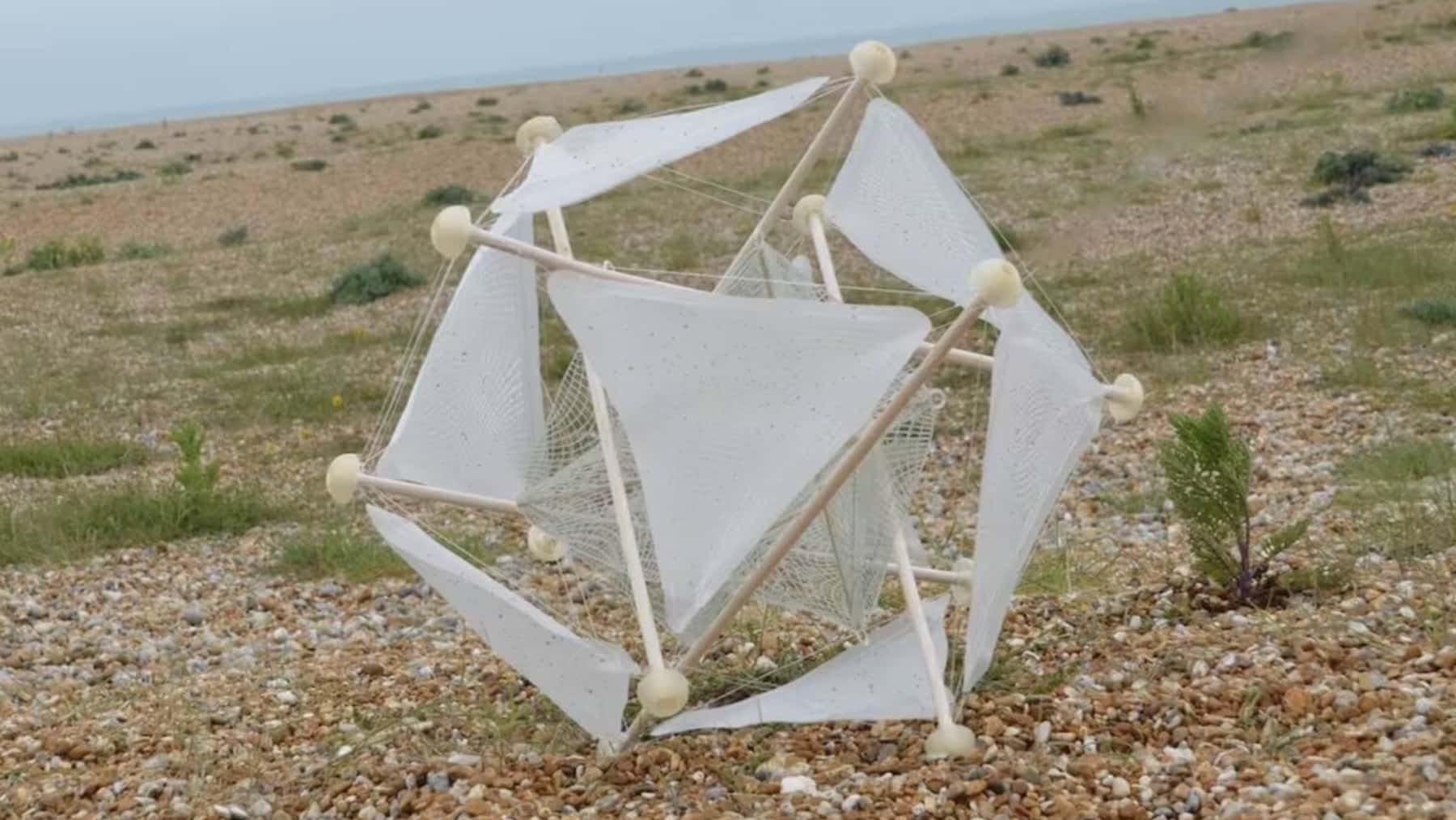 La planta rodadora artificial, durante la fase de pruebas (Yizhuo Guo)