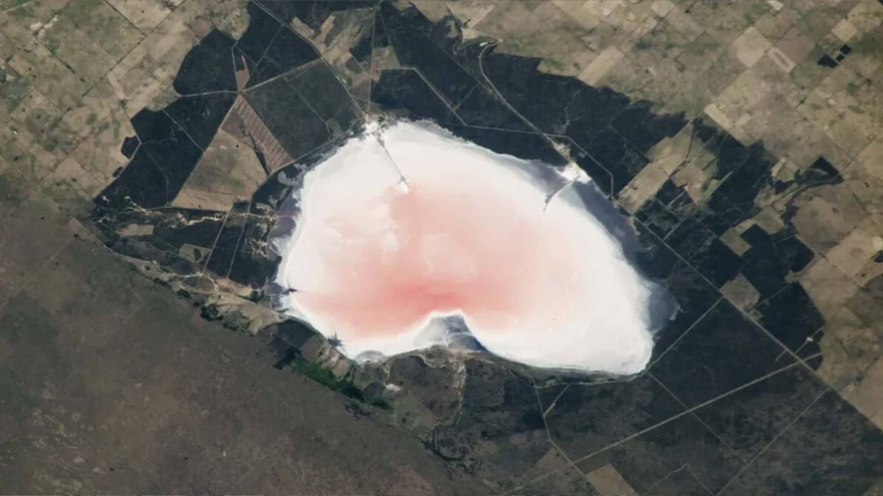 Vista satelital de una salina en Argentina con tonalidades rosadas detectadas por la NASA.