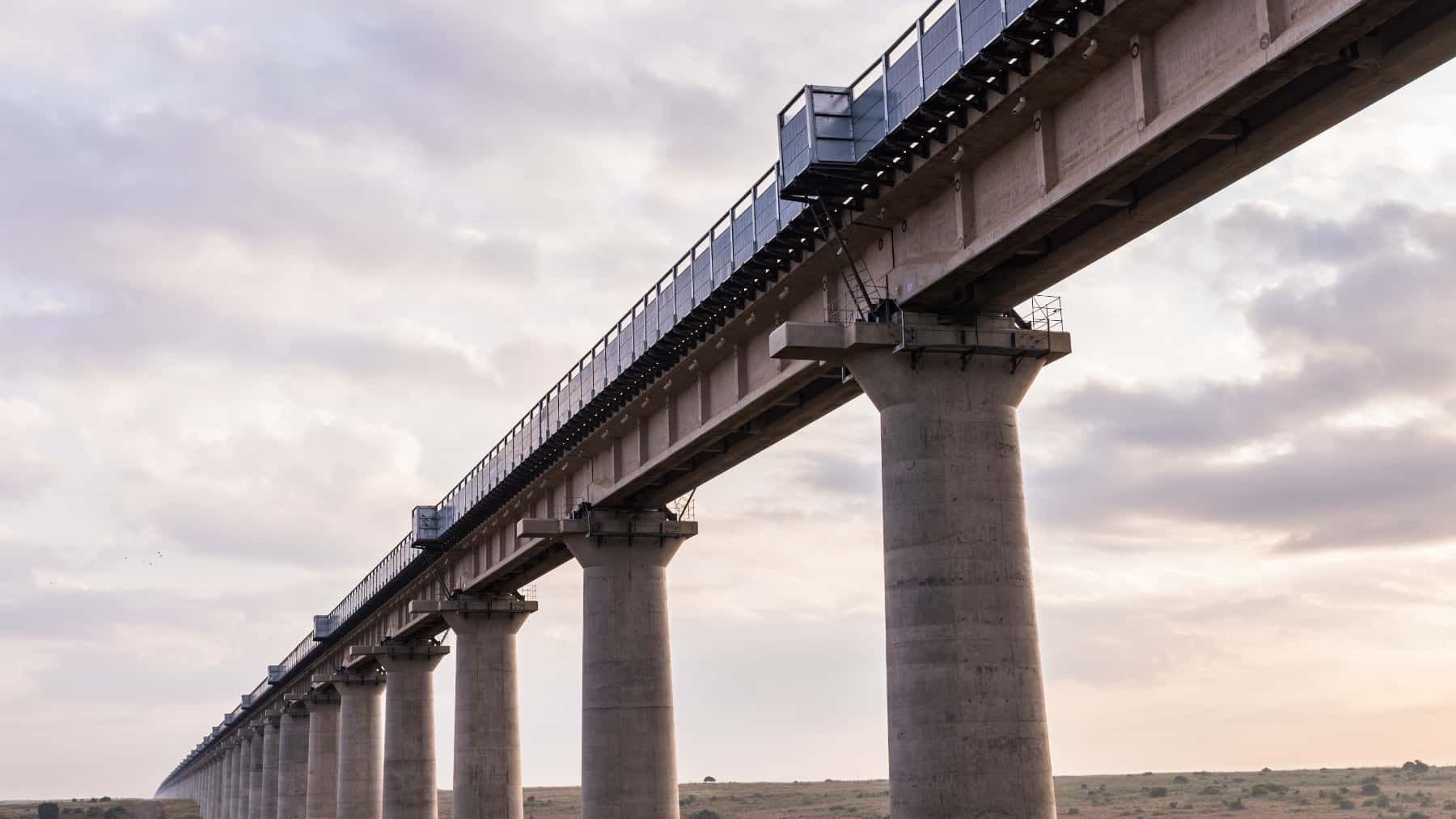 Viaducto ferroviario elevado sobre pilares de hormigón en una zona rural