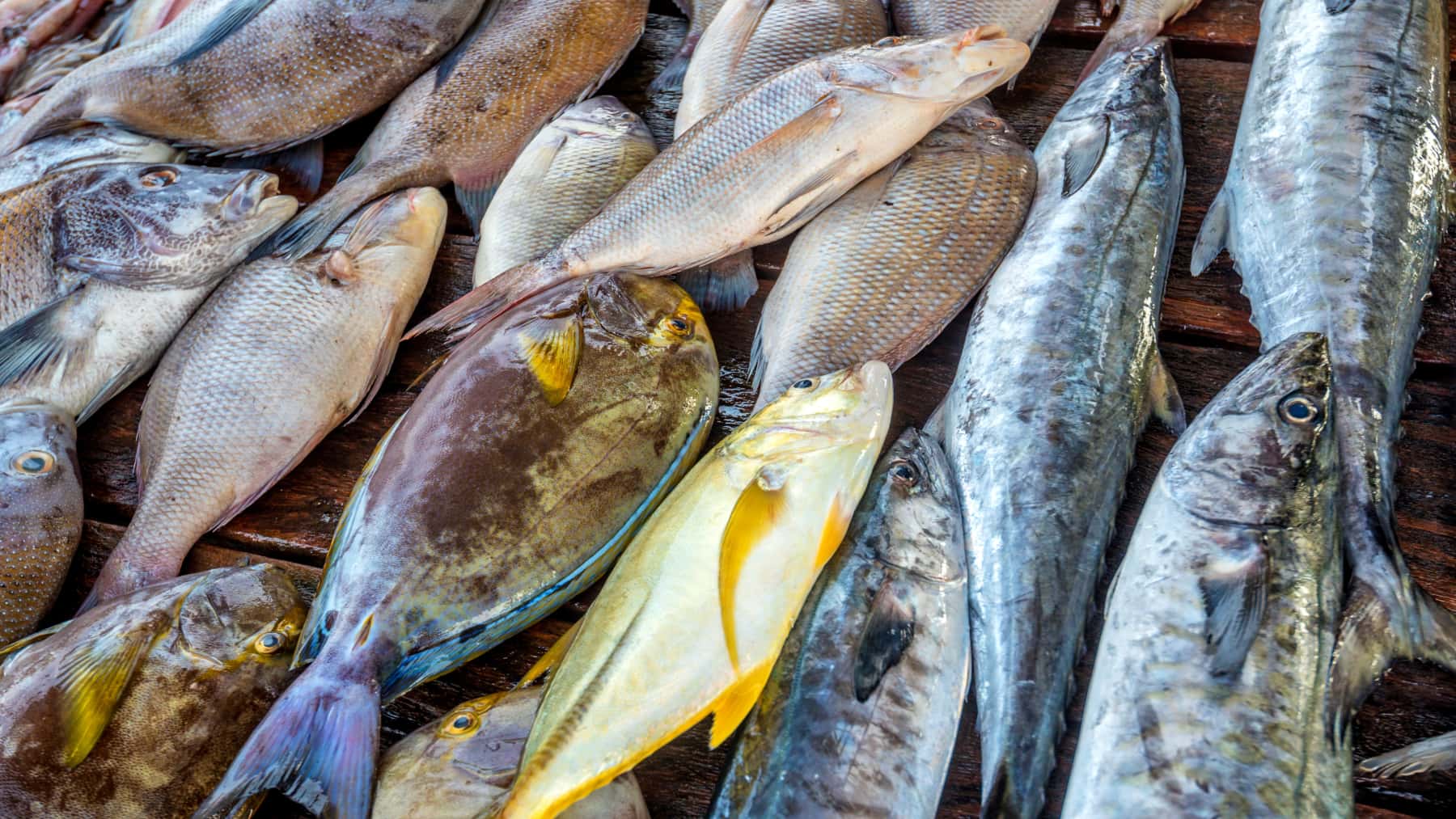 Variedad de pescado fresco expuesto sobre una superficie de madera en un mercado o lonja.